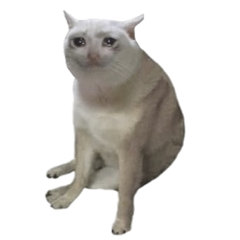 Cash Cat